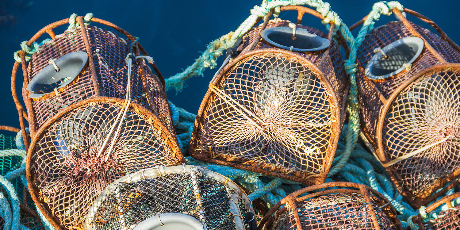 Galicia Ria de Arousa Boat and Wine Trip Private tours in Spain and