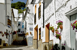 Cádiz white Villages Tour