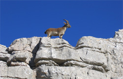 El Torcal Málaga Hiking Tour