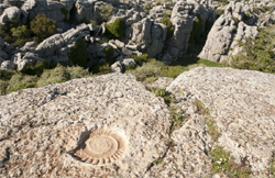 El Torcal Málaga Hiking Tour