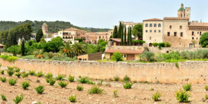 Poblet and Santes Creus Monasteries Day Trip