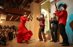 Seville Flamenco Show