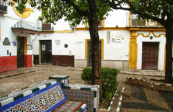 3h Sevilla Walking Tour