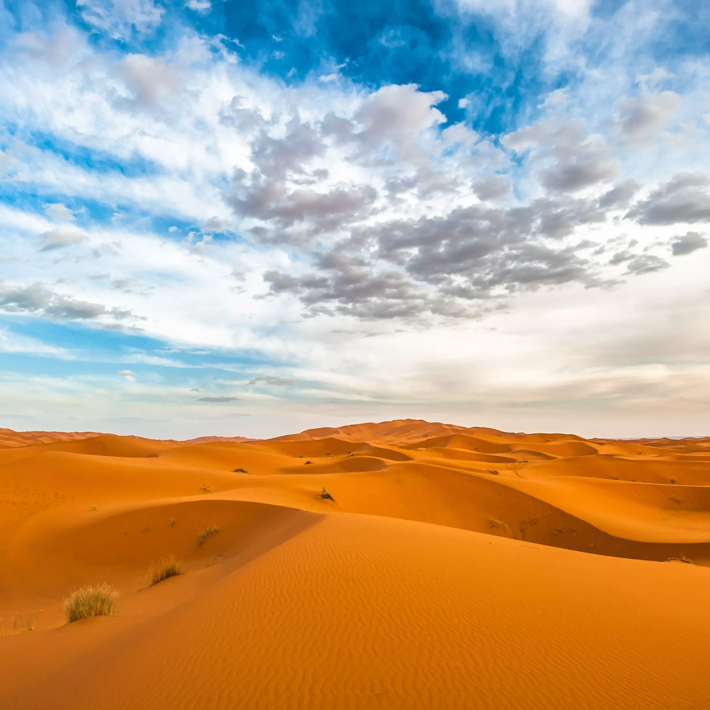 Sahara Desert, Morocco
