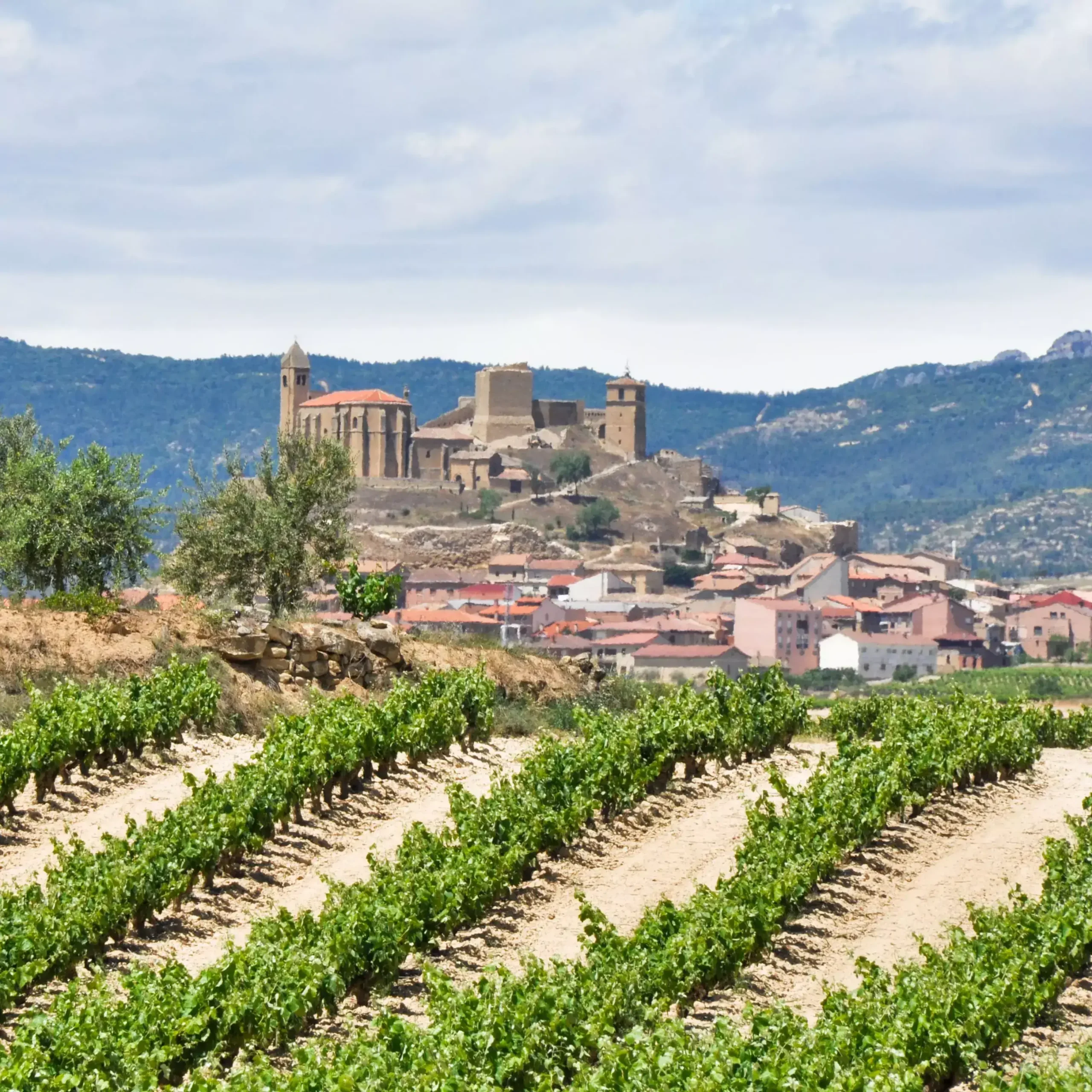 Town in Rioja, Spain