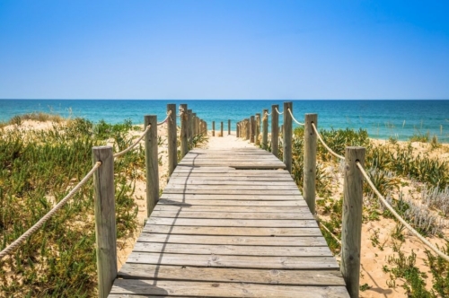 Faro Fish and Seafood Walking Tour: Faro beach