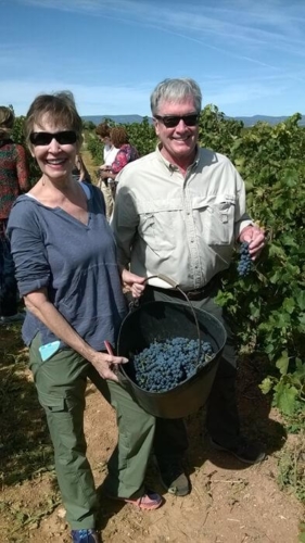 Barcelona Grape Stomping Harvest Tour