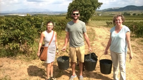 Barcelona Grape Stomping Harvest Tour