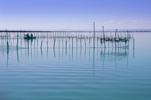 Valencia Walking Tour and Albufera Trip