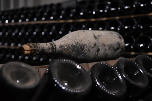 Barcelona Wine and Cava Tour