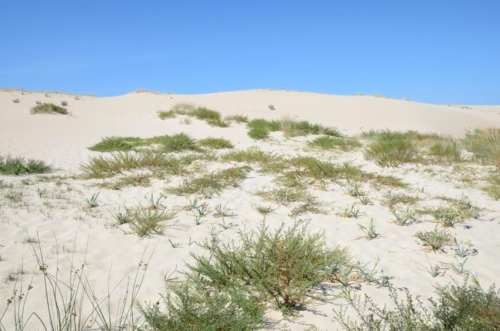 Dolmen, Celtic Settlement and Sand Dunes