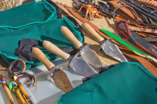 Spain Truffle Hunting tools