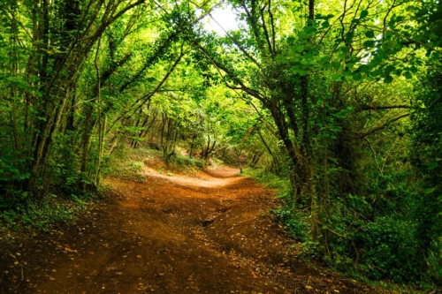 Garrotxa Hiking Tour