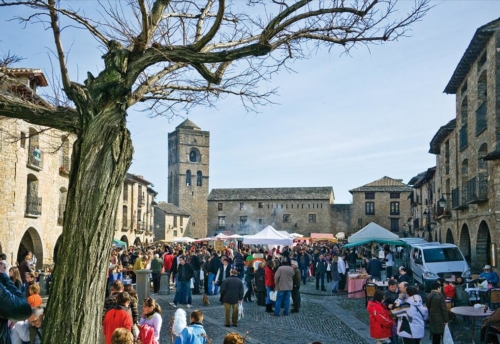 Spain Truffle Hunting - Truffle Market