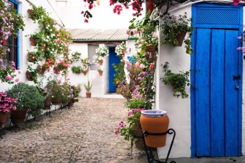 Cordoba Patios Festival Walking Tour